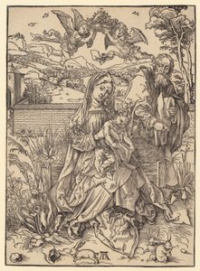  da Albrecht Dürer