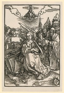  da Albrecht Dürer