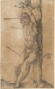  da Albrecht Dürer
