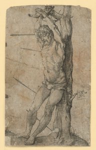  da Albrecht Dürer