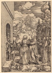  da Albrecht Dürer