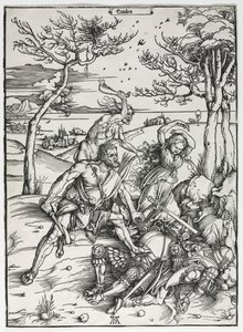 Ercole da Albrecht Dürer