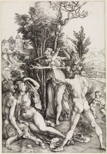  da Albrecht Dürer