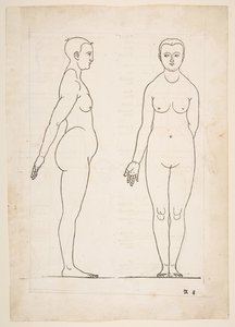 Illustrazione da Dürers Vier Bucher von Menslicher Proportion, Norimberga