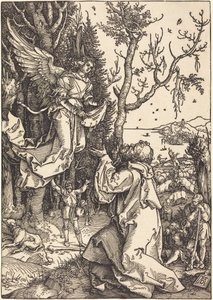  da Albrecht Dürer