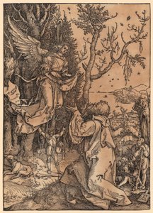  da Albrecht Dürer