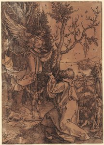  da Albrecht Dürer