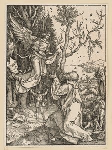  da Albrecht Dürer