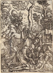  da Albrecht Dürer