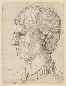 Testa di un anziano uomo senza barba, di profilo verso sinistra da Albrecht Dürer