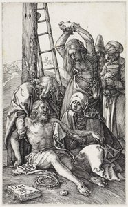  da Albrecht Dürer