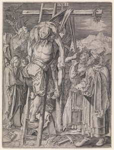  da Albrecht Dürer
