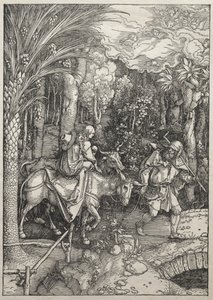 Vita della Vergine: Fuga in Egitto da Albrecht Dürer
