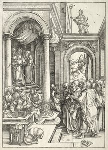 Vita della Vergine: Presentazione della Giovane Vergine al Tempio da Albrecht Dürer