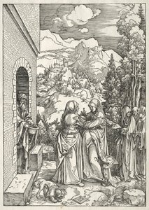 Vita della Vergine: La Visitazione da Albrecht Dürer
