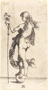 Piccola fortuna