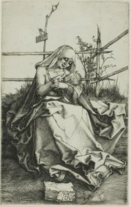 Madonna su una sponda erbosa da Albrecht Dürer