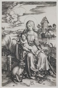  da Albrecht Dürer
