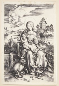 Madonna con la scimmia da Albrecht Dürer
