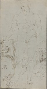 Nudo maschile con un leone [verso]