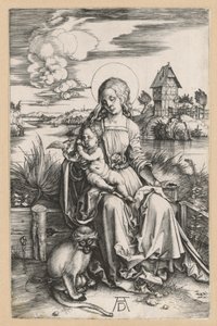  da Albrecht Dürer