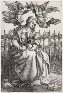 da Albrecht Dürer