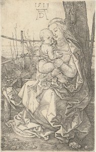  da Albrecht Dürer