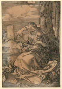  da Albrecht Dürer