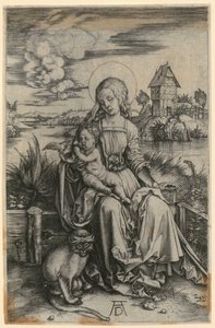  da Albrecht Dürer