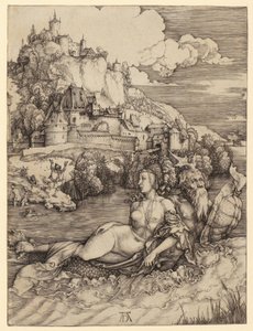  da Albrecht Dürer
