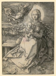  da Albrecht Dürer