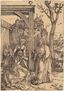  da Albrecht Dürer