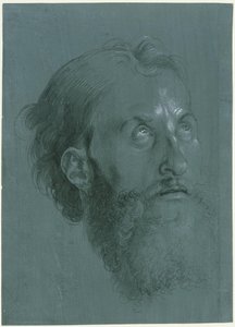  da Albrecht Dürer