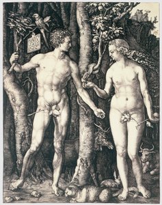 Peccato originale da Albrecht Dürer