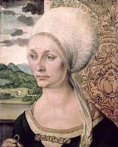 Ritratto di Elsbeth Tucher, 1499 da Albrecht Dürer