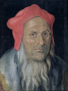 Ritratto di un uomo barbuto con cappello rosso, 1520