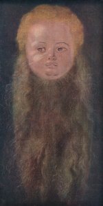Ritratto di un ragazzo con una lunga barba, 1527, 1939 da Albrecht Dürer