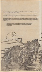  da Albrecht Dürer