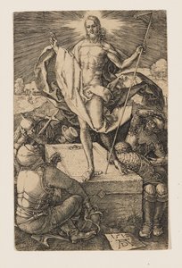  da Albrecht Dürer