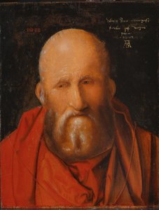 San Girolamo da Albrecht Dürer