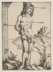  da Albrecht Dürer