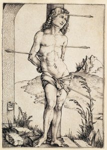  da Albrecht Dürer