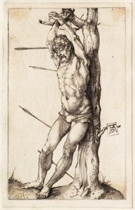  da Albrecht Dürer