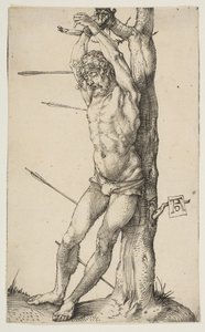  da Albrecht Dürer