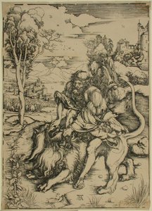  da Albrecht Dürer