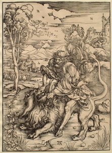  da Albrecht Dürer