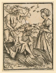  da Albrecht Dürer