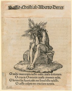  da Albrecht Dürer