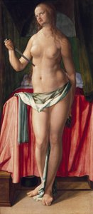  da Albrecht Dürer