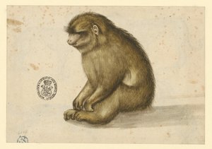  da Albrecht Dürer